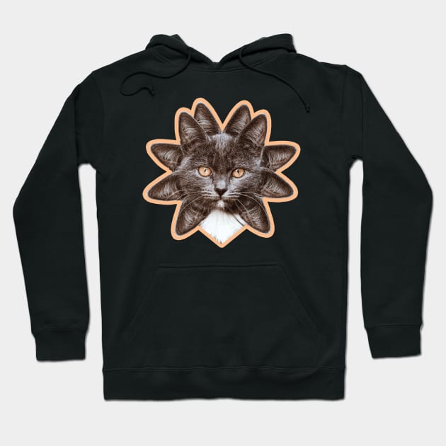 Flower Cat Hoodie by mrmattmccarthy